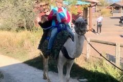 A camel ride with Dr. Amos! The camel survived!!!!