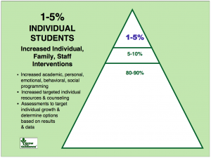 Individual Student